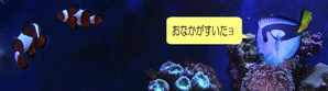 ハギハギ