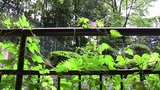 ワイド比較1