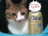 ねおとサントリーダイエット生